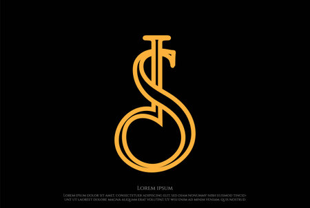 Initial Letter IS SI DS SD Logo Design Vectorのイラスト素材