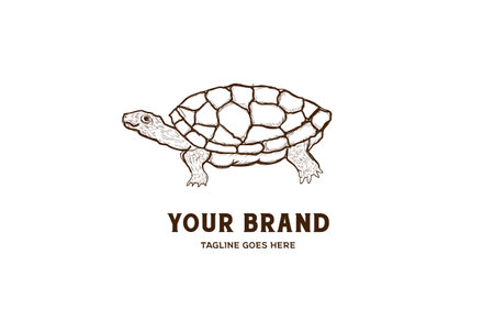 Vintage Retro Hand Drawn Turtle Logo Design Vectorのイラスト素材
