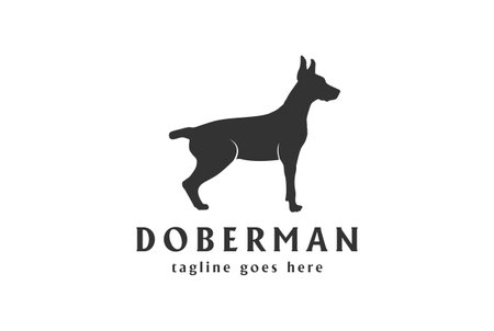 Standing Doberman Pinscher Dog Silhouette Logo Design Vectorのイラスト素材