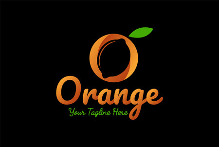 Modern Initial Letter O for Orange Lemon Lime Fruit Logo Design Vectorのイラスト素材