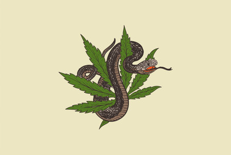 Retro Vintage Cannabis Marijuana Leaf with Cobra Viper Mamba Snake for Tattoo Design Vector