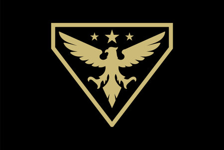 Golden Triangle American Eagle Hawk Falcon Phoenix Bird Badge Emblem for Military Force Army Logo Designのイラスト素材