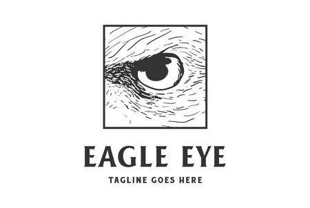 Vintage Retro Eagle Hawk Falcon Bird Eye Eye for Wildlife Zoo Conservation Logo Designのイラスト素材