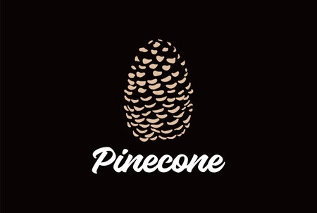 Simple Minimalist Dried Pine Cone Seed Logo Designのイラスト素材