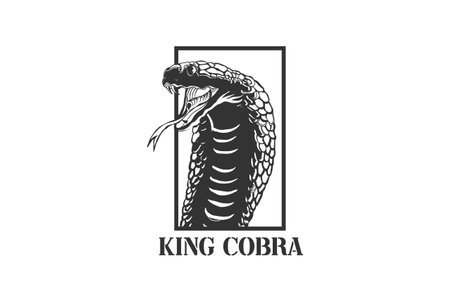 Vintage Retro Poisonous King Cobra or Black Mamba Snake Reptile Head Logo Designのイラスト素材