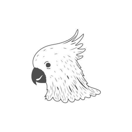 Manually Hand Drawn cockatoo or Parakeet Bird Head Illustration Vectorのイラスト素材