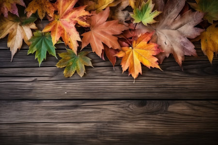 Autumn fallen leaves texture abstract background, nature sceneの素材