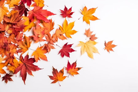Autumn fallen leaves texture abstract background, nature sceneの素材