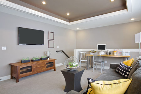Beautiful Living Room Interior with TV in New Luxury Home