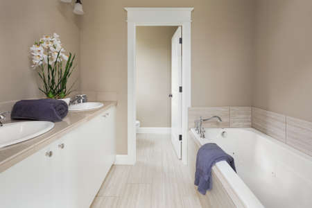 Master Bathroom with double vanity and bathtub in new luxury homeの写真素材
