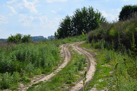 Village natural earth backroad with green grass and treesの写真素材