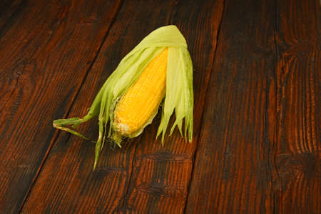 One open fresh yellow corn cob with green husk on dark brown vintage wooden surfaceの写真素材