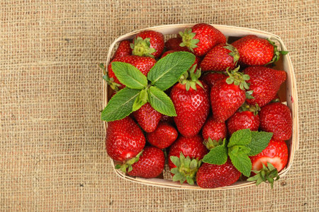 Wicker wooden basket full of mellow red summer strawberries and fresh mint leaves on jute burlap canvas background, top viewの写真素材