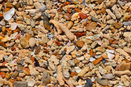 Colorful assorted shells, pebbles, shards, stones, corals and other small sea things and pieces on shore in water under sunshine, close up texture pattern background, top viewの写真素材