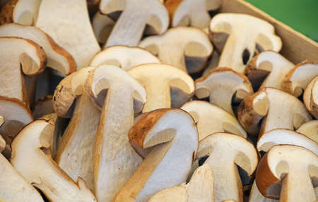 Fresh autumn season halved cut porcini mushrooms (ceps, Boletus edulis) in wooden box on retail farmers market, close up, high angle viewの写真素材
