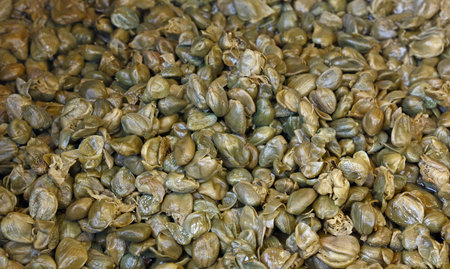 Green pickled small capers (flower buds) close up background, retail market display, high angle view