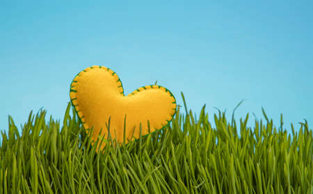 One yellow felt craft stitched heat in fresh green grass over clear blue sky, close up, low angle viewの写真素材