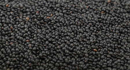 Black Beluga lentil lens close up pattern background, high angle view, selective focusの写真素材