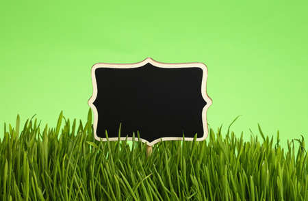 Black chalkboard sign in spring fresh grass greenery close up over natural green backgroundの写真素材