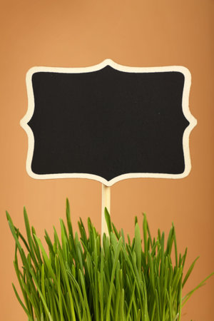 Fresh spring green grass with black chalkboard sign copy space, close up over brown kraft paper...