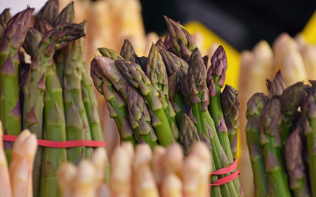 Bundle bunch of fresh green and white garden asparagus shoots close up, low angle viewの写真素材