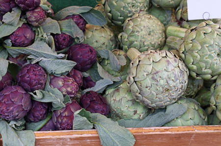 Green and purple fresh globe artichokes in wooden box on retail market display, low angle viewの写真素材