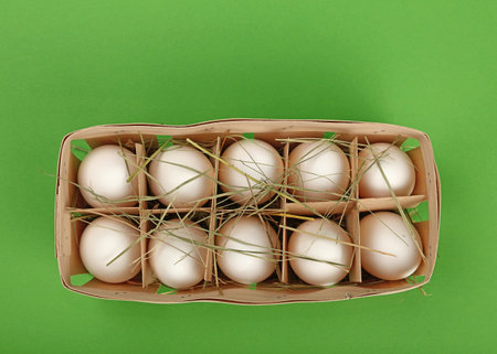 Ten fresh white farm chicken eggs in wooden container box with hay over green background, elevated...