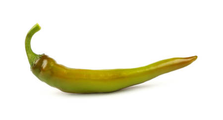 One fresh green and brown jalapeno chili pepper isolated on white background, close up, side low angle viewの写真素材
