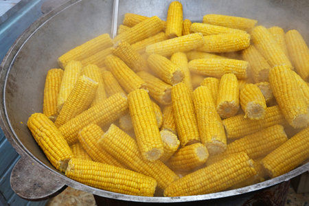 Close up boiling many fresh yellow corncobs in big steam pan, high angle view