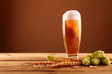 Close up one glass of beer with froth and bubbles, green hops and barley grain and spikes on wooden table over dark brown background with copy space, low angle side viewの写真素材