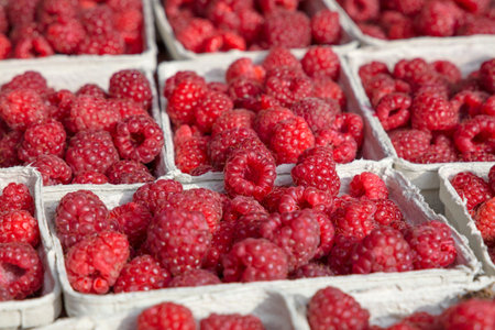 Close up fresh red raspberry berries in paper container on retail display of farmers market, high...