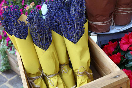 Close up bouquets of dried lavender flowers wrapped in yellow paper at retail display of flower shopの写真素材
