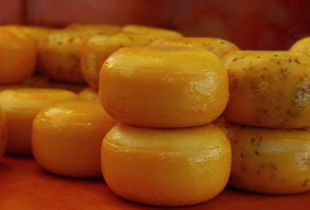 Close up selection of whole small heads of hard cheese on retail display, low angle viewの写真素材