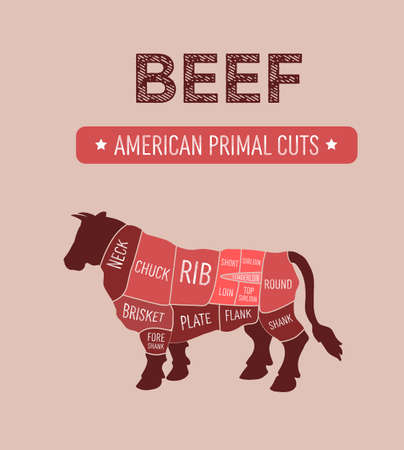 Vector illustration of American primal beef meat cuts diagram, US scheme for butcher shop, color indicates premium grades of meatのイラスト素材
