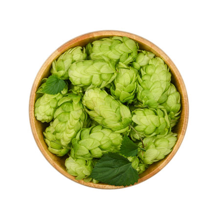 Close up one wooden bowl of fresh green hops isolated on white background, elevated top view,...