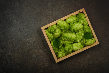 Close up one wooden bowl of fresh green hop flowers on dark grunge brown table background, elevated...