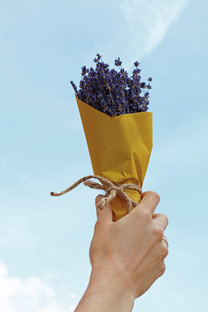 Close up woman hand holding bouquet of dried lavender flowers wrapped in yellow paper, raised up...