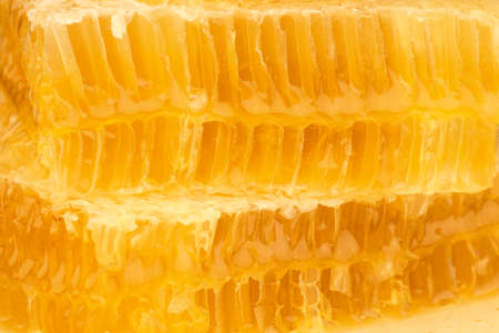 Close up cut fresh golden comb honey background texture, full frame honeycomb pattern, side viewの写真素材