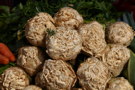 Close up knob turnip rooted celery with green stalk bunch on retail display of fresh food market,...