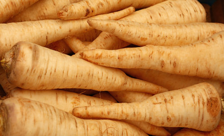 Close up many parsnip roots on retail display of fresh food market, high angle view,の写真素材