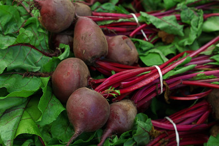 Close up heap of many fresh washed new red beetroot bunches with greens at retail display of farmer...