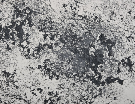 Close up abstract grunge black and white background with brushstrokes, stains and splatter patternの写真素材
