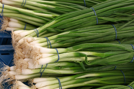 Heap of fresh green spring bunch onion, scallion or chive on farmers market display, close up, high angle viewの写真素材