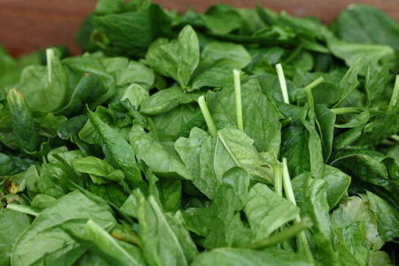 Heap of fresh green spring spinach on farmers market display, close up, high angle viewの写真素材