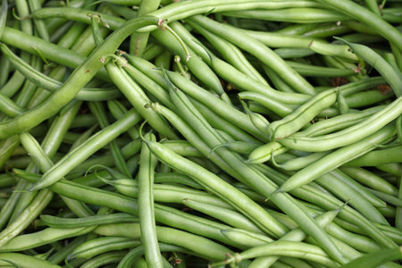 Heap of fresh green been on retail display of farmers market, close up, high angle viewの写真素材