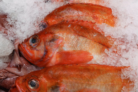 Freshly caught red Sebastes or mullus, displayed on ice at a busy fish market, ensuring top quality...