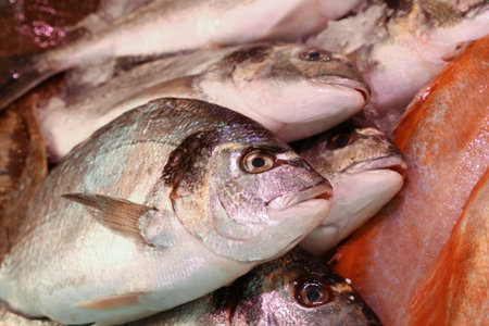 Freshly caught dourade seabream fish beautifully displayed on ice at a fish market, perfect for a...