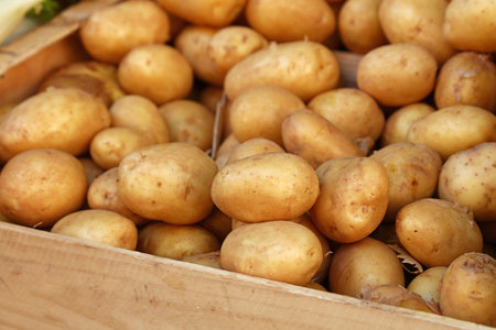 Close up heap of many fresh washed new farm potato in wooden box at retail display of farmer market, high angle viewの写真素材