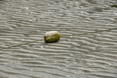 Weathered buoy with green algae and a long rope resting on patterned wet sand at low tide, showcasing marine debris and the rhythmic texture of the beachの写真素材