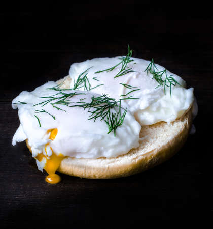 Eggburger, moody photoの写真素材